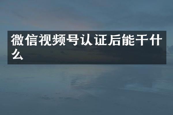 微信视频号认证后能干什么