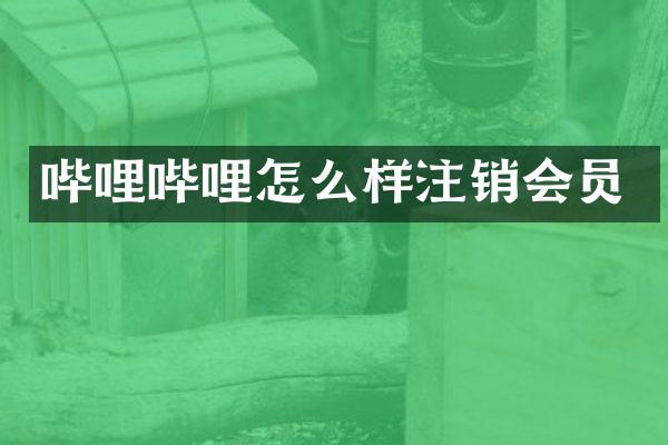 哔哩哔哩怎么样注销会员