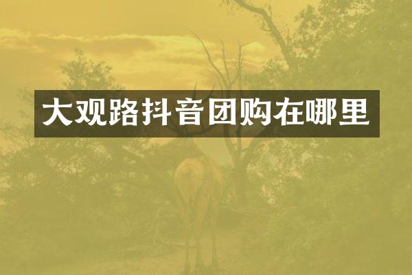 大观路抖音团购在哪里