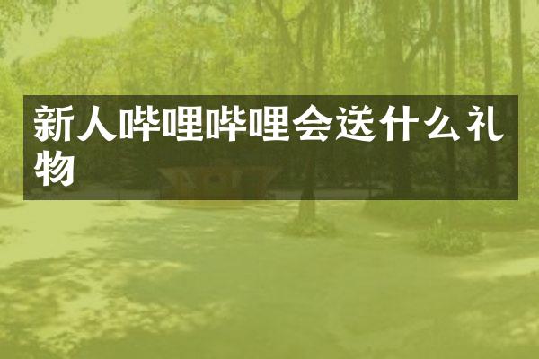 新人哔哩哔哩会送什么礼物