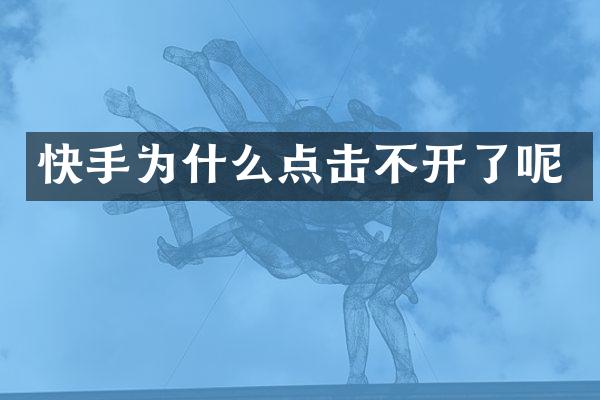 快手为什么点击不开了呢