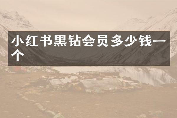 小红书黑钻会员多少钱一个