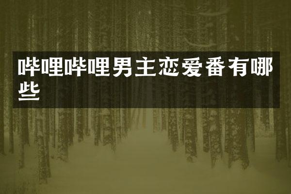 哔哩哔哩男主恋爱番有哪些