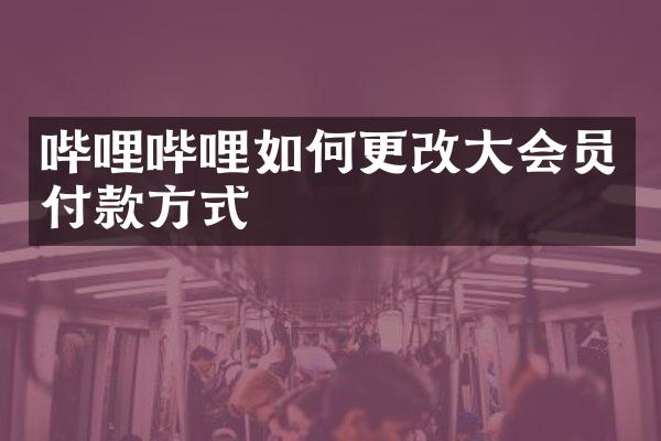 哔哩哔哩如何更改大会员付款方式