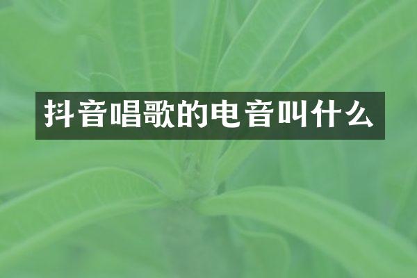 抖音唱歌的电音叫什么