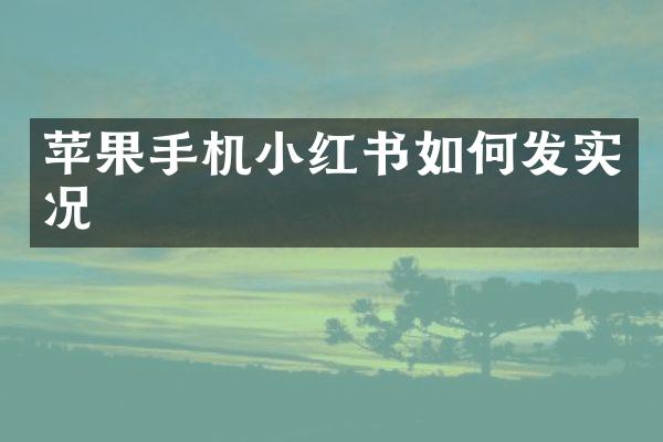 苹果手机小红书如何发实况