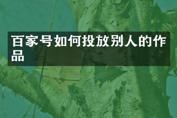 百家号如何投放别人的作品
