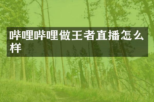 哔哩哔哩做王者直播怎么样