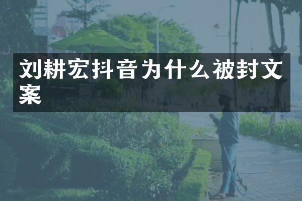 刘耕宏抖音为什么被封文案