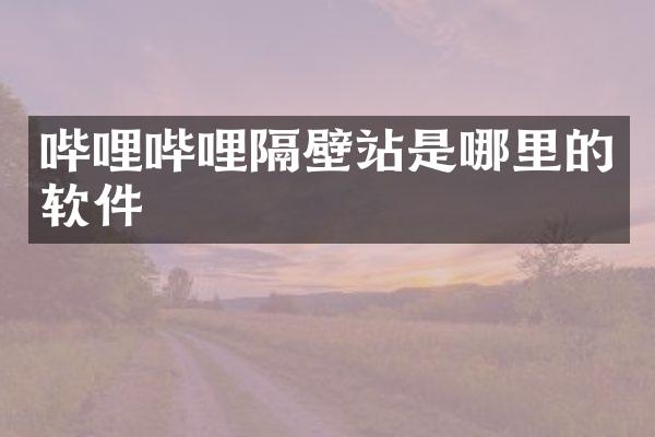 哔哩哔哩隔壁站是哪里的软件
