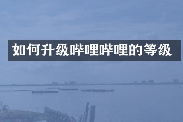 如何升级哔哩哔哩的等级