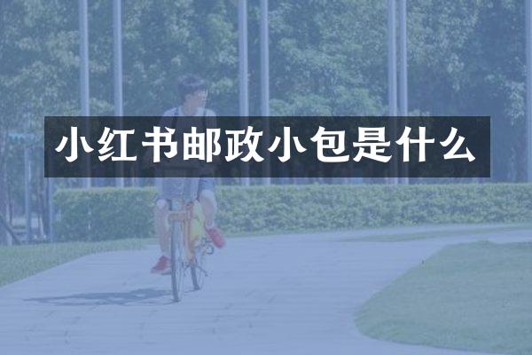 小红书邮政小包是什么