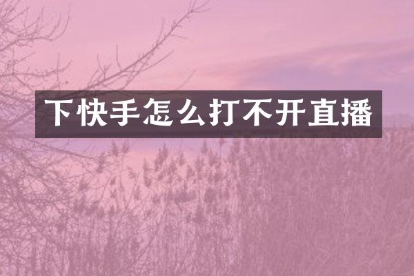 下快手怎么打不开直播