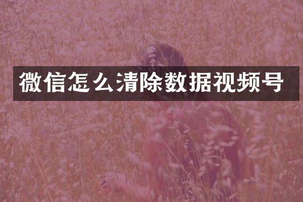 微信怎么清除数据视频号