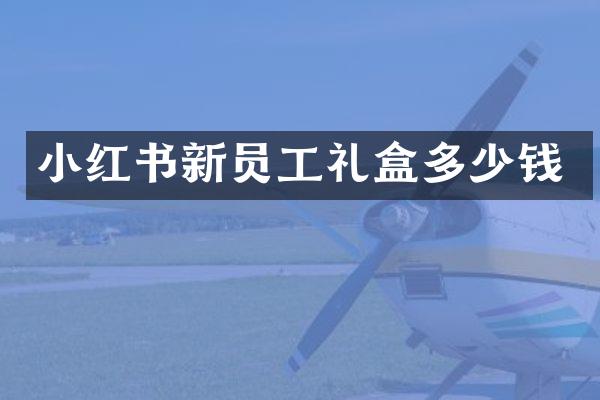 小红书新员工礼盒多少钱
