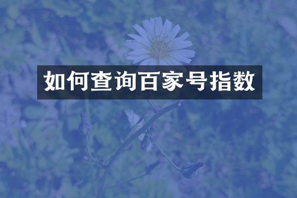 如何查询百家号指数