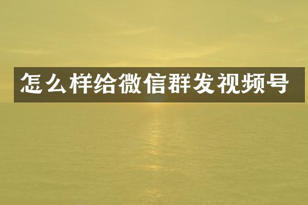 怎么样给微信视频号