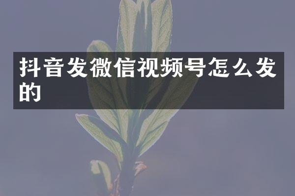 抖音发微信视频号怎么发的