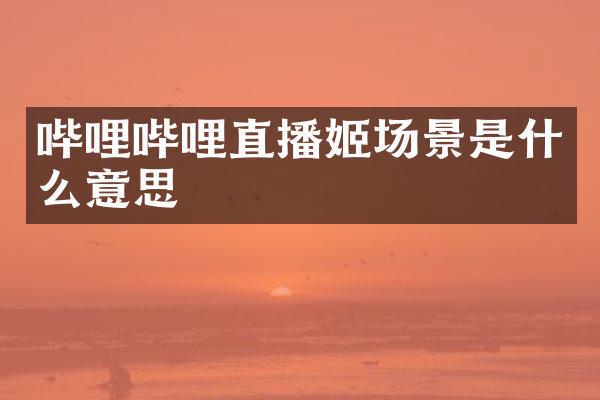 哔哩哔哩直播姬场景是什么意思