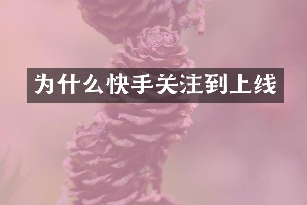 为什么快手关注到上线