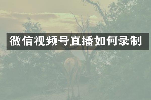 微信视频号直播如何录制