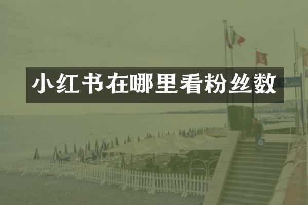 小红书在哪里看粉丝数