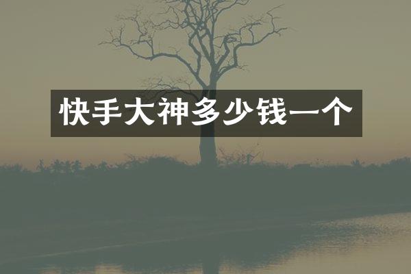 快手大神多少钱一个