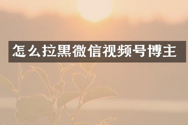 怎么拉黑微信视频号博主