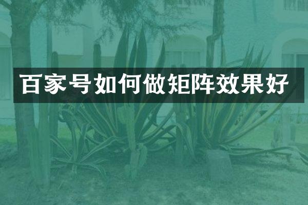 百家号如何做矩阵效果好