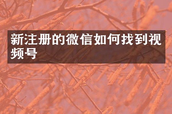 新注册的微信如何找到视频号