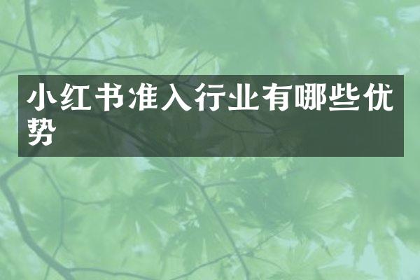小红书准入行业有哪些优势