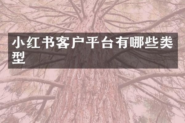 小红书客户平台有哪些类型
