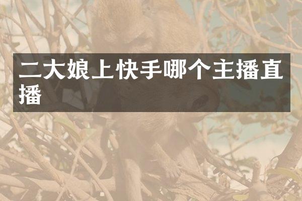 二大娘上快手哪个主播直播