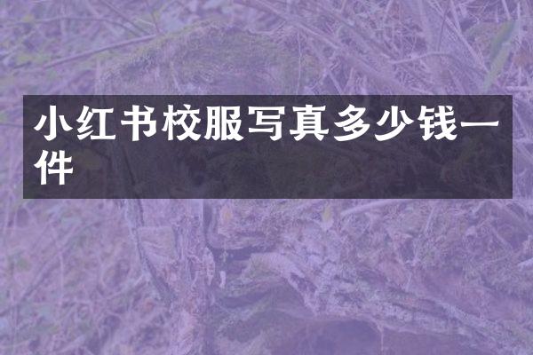 小红书校服写真多少钱一件