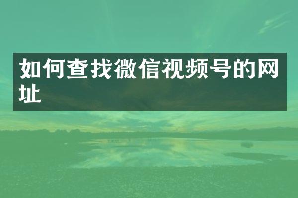 如何查找微信视频号的网址