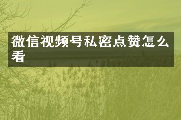 微信视频号私密点赞怎么看