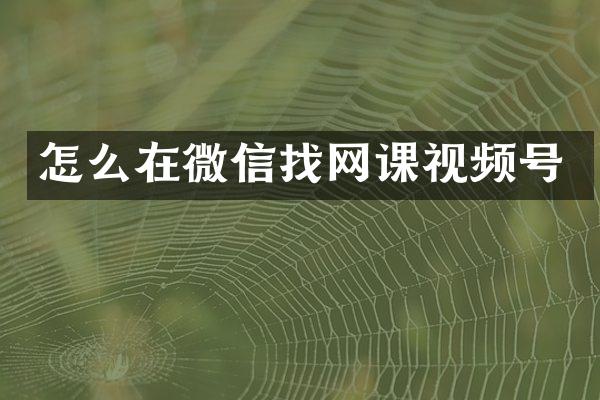 怎么在微信找网课视频号