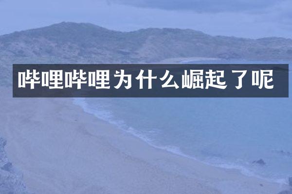 哔哩哔哩为什么崛起了呢