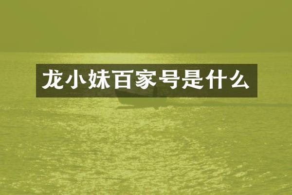 龙小妹百家号是什么