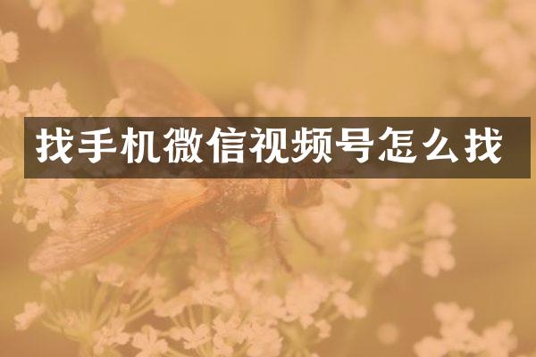 找手机微信视频号怎么找