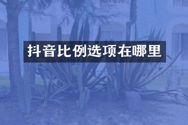 抖音比例选项在哪里