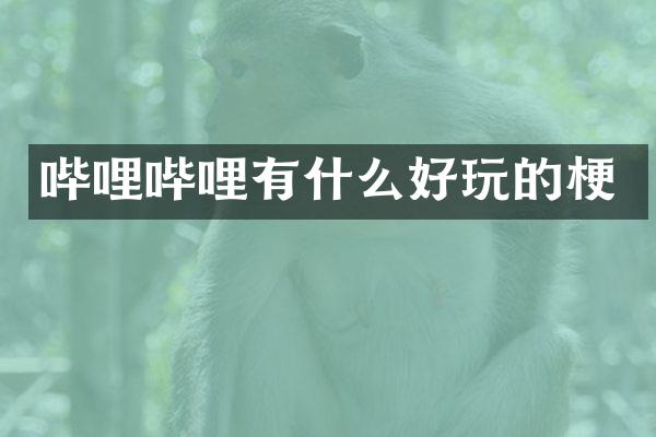 哔哩哔哩有什么好玩的梗