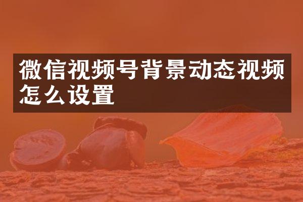 微信视频号背景动态视频怎么设置