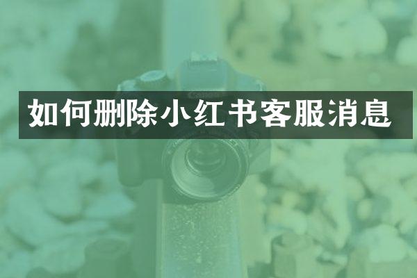如何删除小红书客服消息