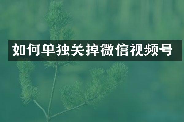 如何单独关掉微信视频号