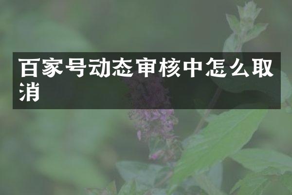 百家号动态审核中怎么取消