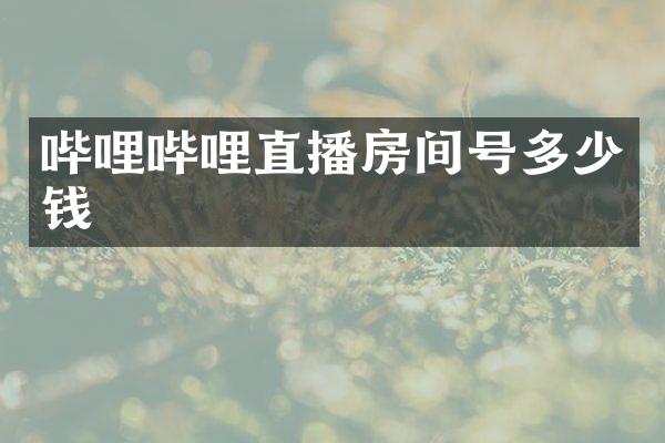 哔哩哔哩直播房间号多少钱