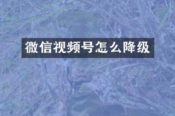 微信视频号怎么降级