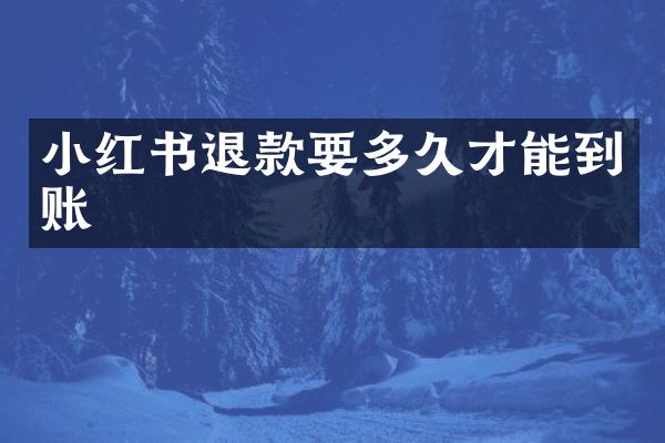 小红书退款要多久才能到账