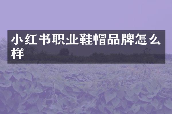 小红书职业鞋帽品牌怎么样
